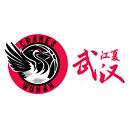 主队图片