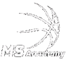 MS学院 MS学院