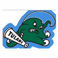 杜兰大学 杜兰大学