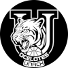 恰帕斯自治大学虎猫队
