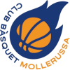 普霍尔莫列鲁萨logo