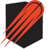 恩尼加斯扎尼logo